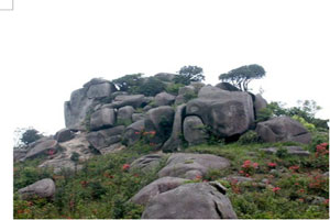 巢湖森林公園——天井山